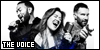 The Voice 100x50